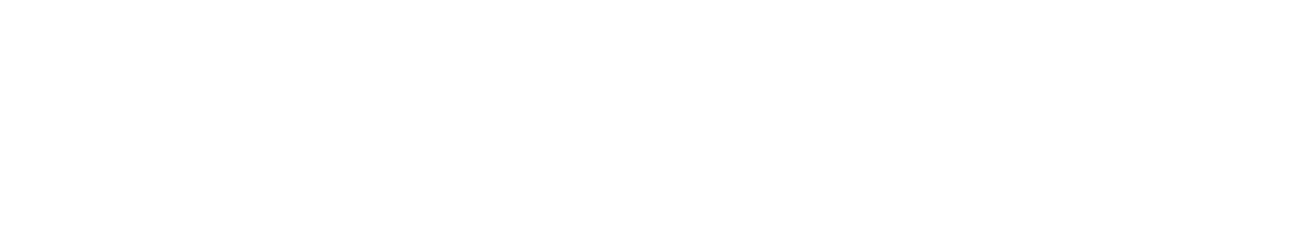 DeepSeek
